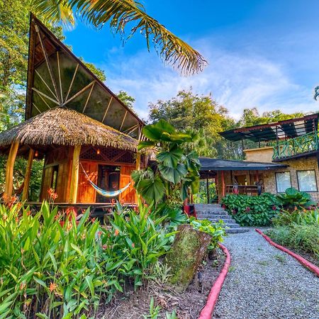 Tree House Beachfront Lodge Puerto Viejo de Talamanca Extérieur photo