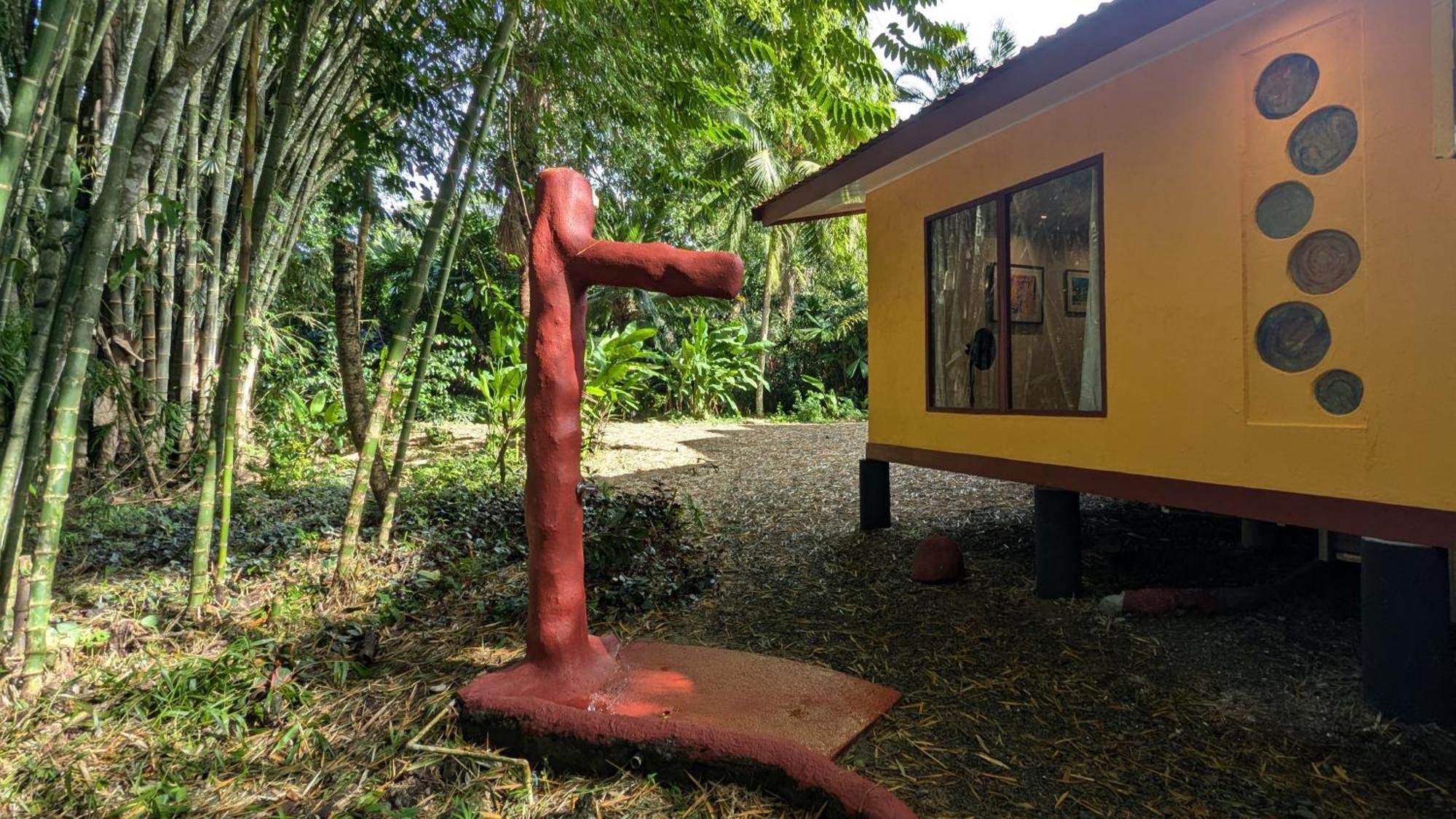 Tree House Beachfront Lodge Puerto Viejo de Talamanca Extérieur photo