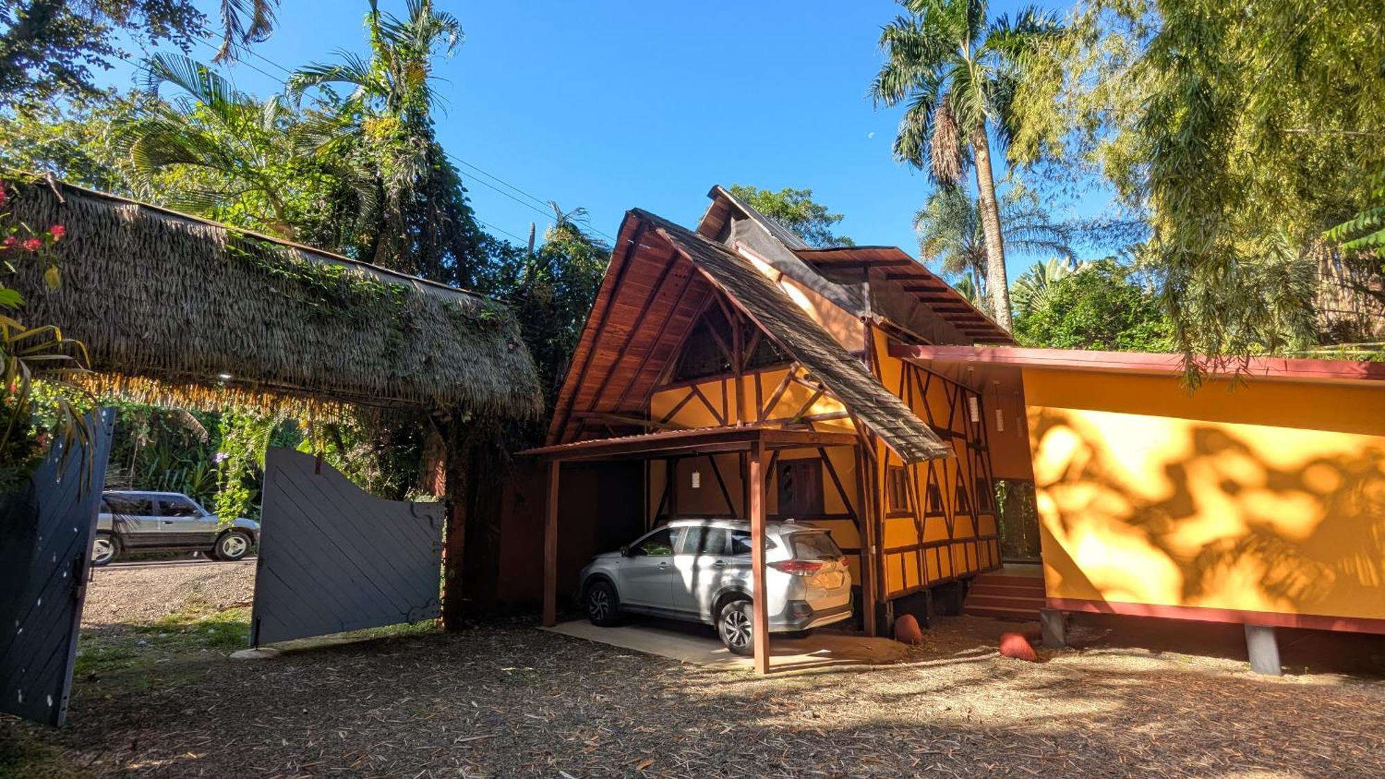 Tree House Beachfront Lodge Puerto Viejo de Talamanca Extérieur photo