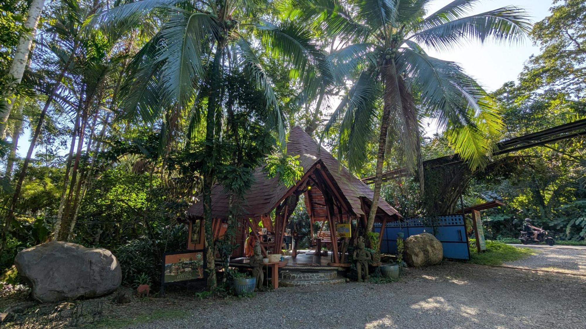 Tree House Beachfront Lodge Puerto Viejo de Talamanca Extérieur photo