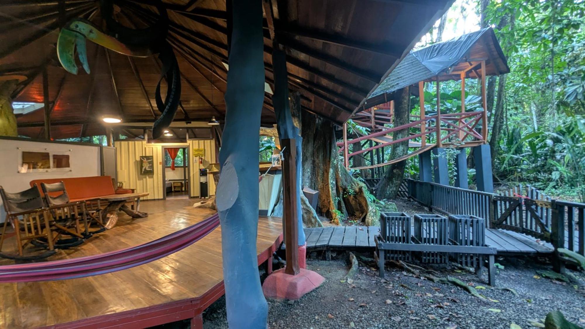 Tree House Beachfront Lodge Puerto Viejo de Talamanca Extérieur photo
