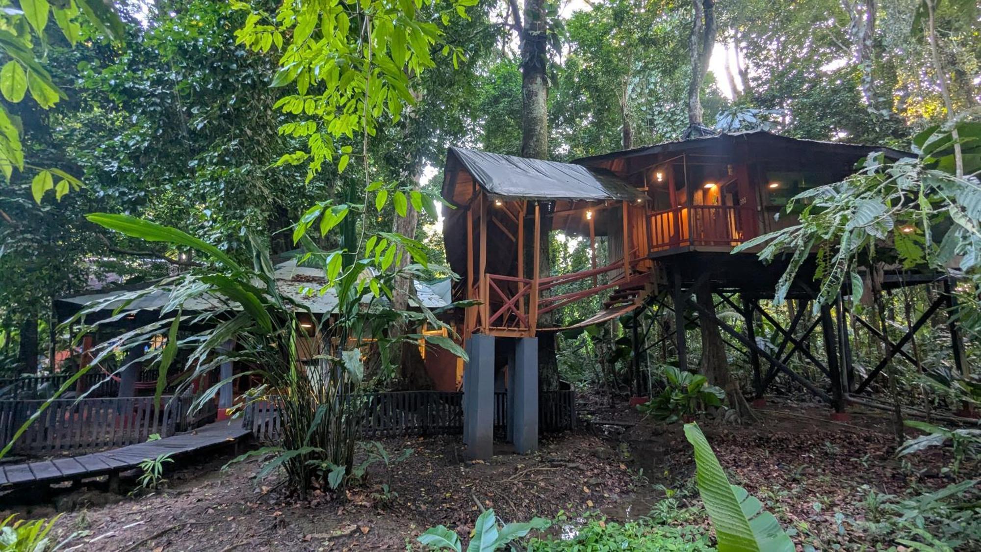 Tree House Beachfront Lodge Puerto Viejo de Talamanca Extérieur photo