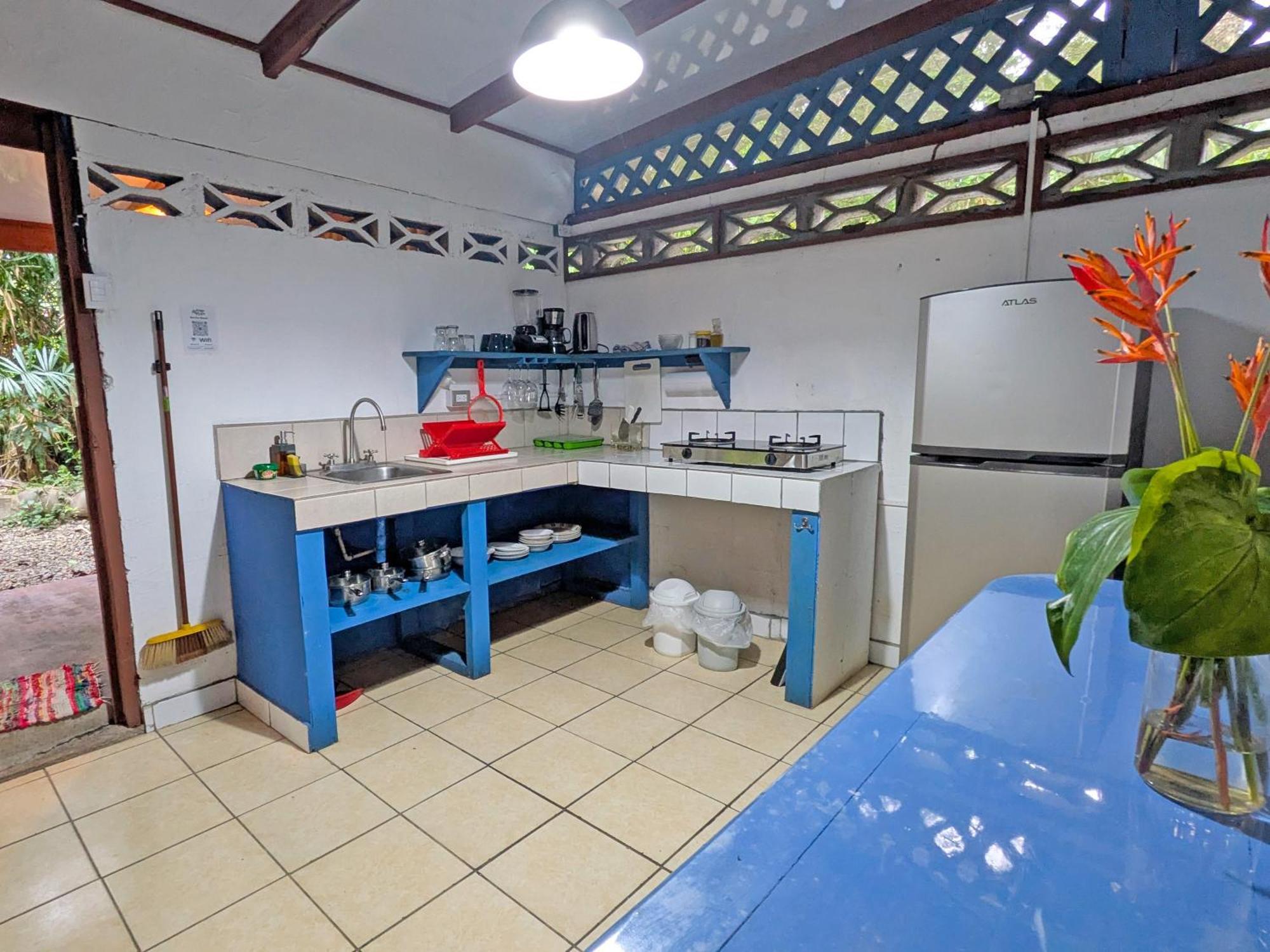 Tree House Beachfront Lodge Puerto Viejo de Talamanca Extérieur photo